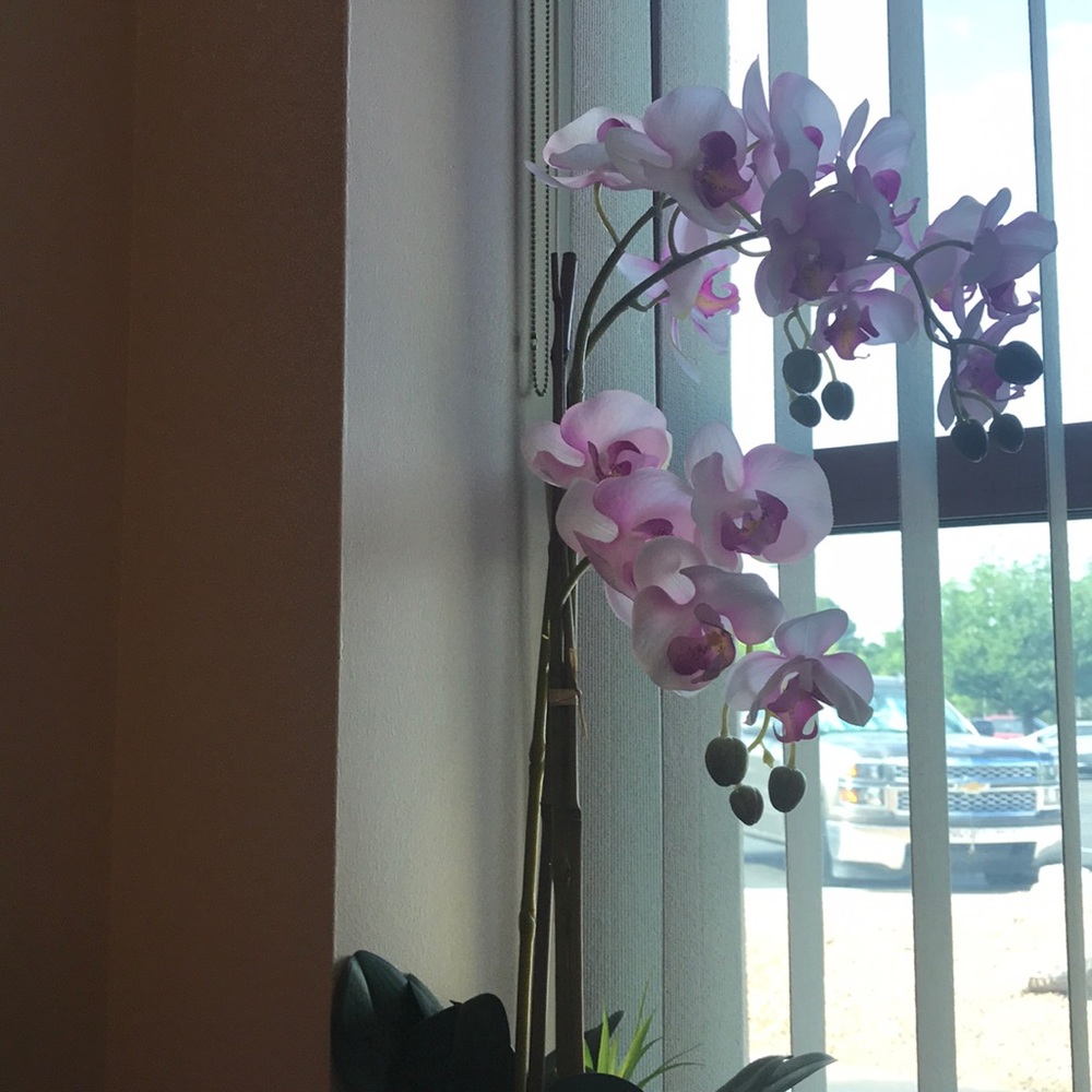 Meet your Posher, Tammy